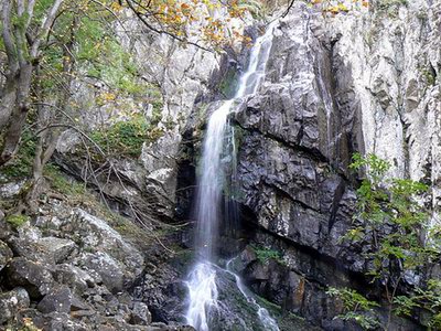 Снимка на Боянския водопад от Виолет Фарах
