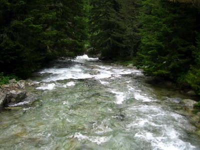 Снимка на реката до Хижа Демяница